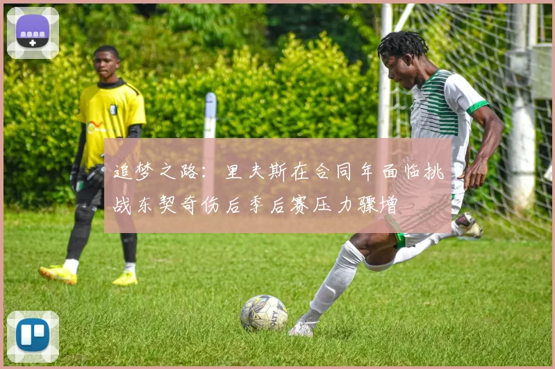 追梦之路：里夫斯在合同年面临挑战东契奇伤后季后赛压力骤增